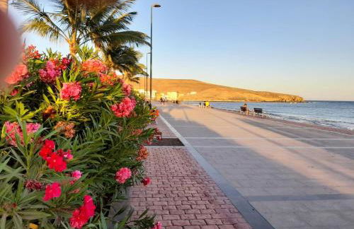 Casa de Cactus - Photo 39