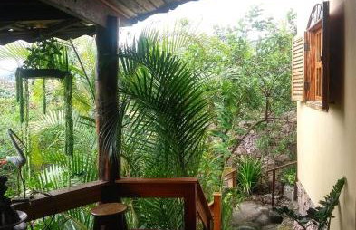 Jardim das orquídeas - Foto 30