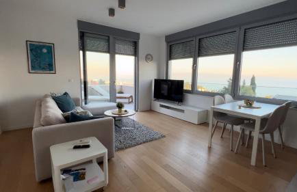 Splendid Split View apartment - Photo 8