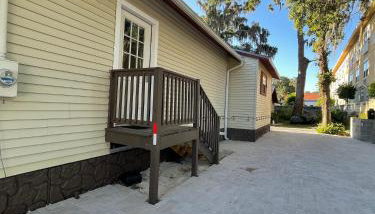 Little Carnation - Foto 4