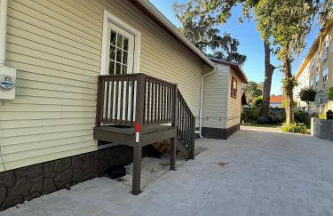 Little Carnation - Foto 4