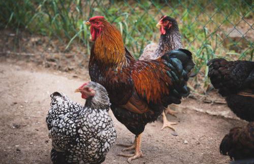 Casa Ambrogi Stefano - Photo 58