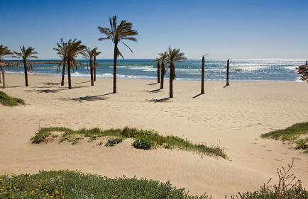 SR Romana Playa Marbella - Foto 36