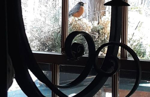 Deer Valley Retreat, Lovely Log Cabin with Fireplace & Garden Views- Perfect for a Relaxing Getaway! - Foto 56