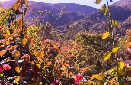 Casa de Araras - Foto 25