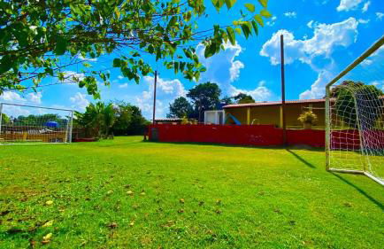 Chácara Roteiro do Vinho com Wi-Fi - Foto 49