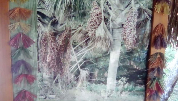 Découvrir l'artisanat local
