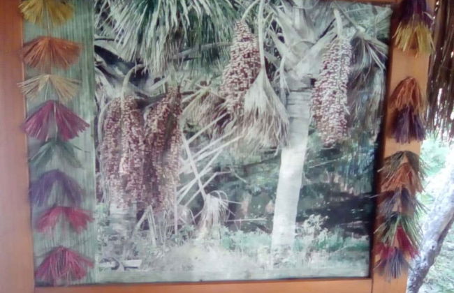 Excursão privada a Tapuio e à Casa de Mulheres Artesãs de Marcelino - Foto 4