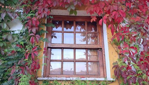 Casa do Lago - Foto 4