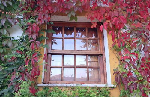 Casa do Lago - Foto 4