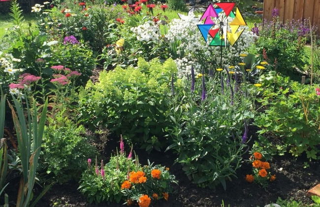 Hansel und Gretel - Foto 27