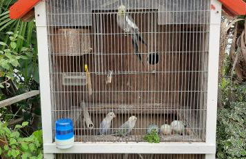 Casa d'Alegria Madeira Island - Foto 22