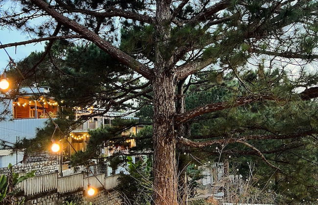 Dong Homestay - Foto 30