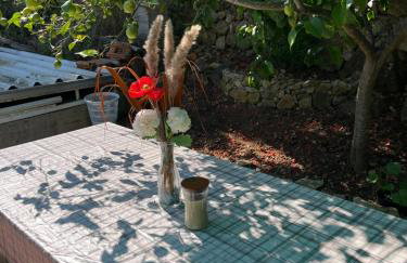 Apartments Despotović - Photo 24