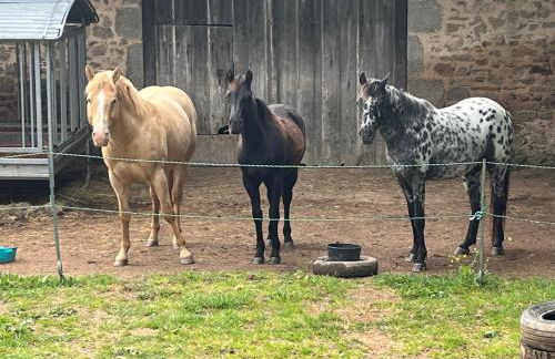 The Place to Be - Foto 16