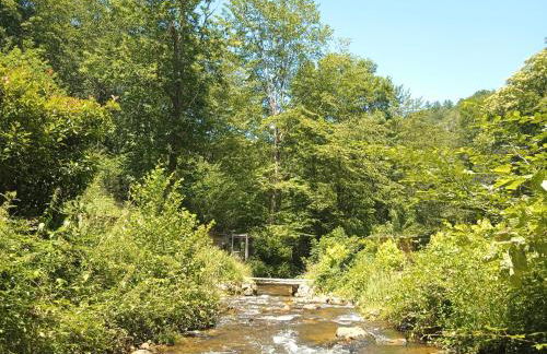 Gîte en bord d'étang et de rivière - Foto 6