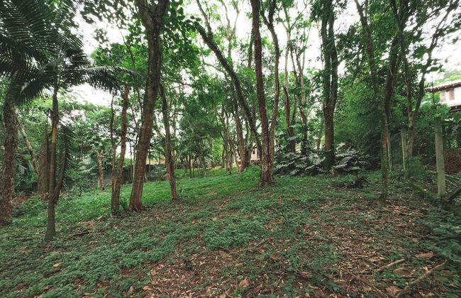 Chalé acolhedor cercado por natureza | Granja Viana - Foto 30