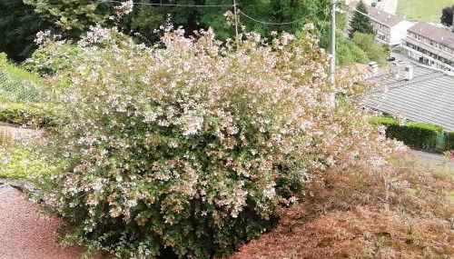 Villa Banfi - Foto 5