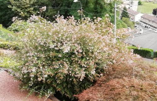 Villa Banfi - Foto 5