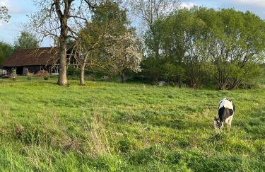 Dom Między Jeziorami - Foto 22