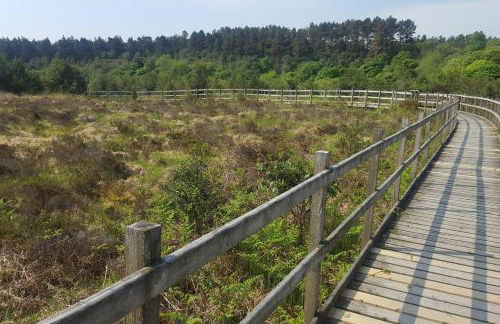 Moneydarragh Cottage with uninterrupted mountain and sea views- Hot tub available for hire at extra cost - Photo 30