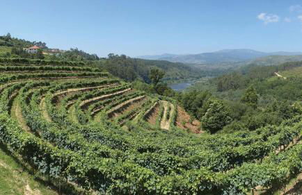 PESO RIVER HOUSE - Foto 37