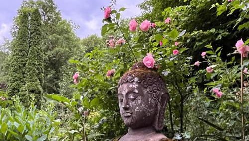 Wohnung im Herzen Diessens - Foto 5