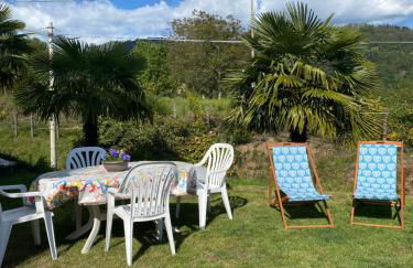 il tulipano - Photo 39