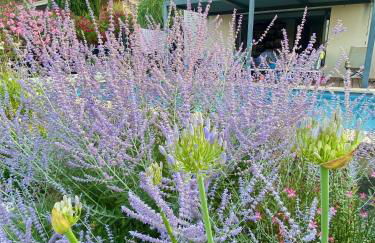 L Espantée - Foto 23