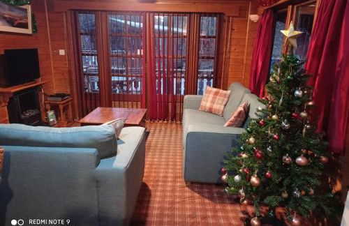 Lurchers Cabin Aviemore - Foto 22