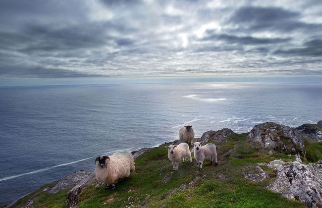 Seaview Holiday Home Bantry - Photo 22