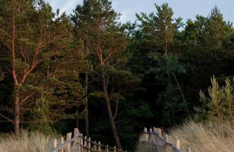 Kaszubskie Sioło - Foto 26