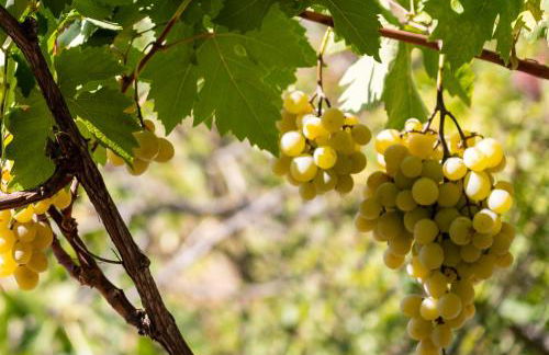 Secluded house with amazing view and swimming pool - Foto 42