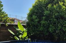 Casa Vitorino - Foto 38