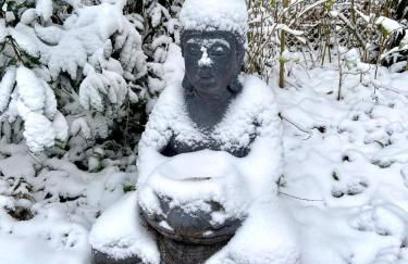 Studio im Haus Amselgarten - Foto 36