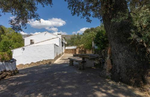 Cortijo el Chaparro - Foto 5