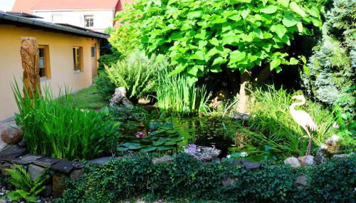 Cottage Sächsische Schweiz - Foto 5, Garden view