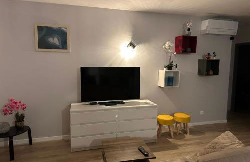 Belle Maison MALOU climatisée calme, piscine, jacuzzi 3km plage Labenne Capbreton - Foto 52