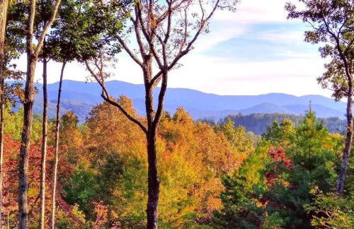 Bear Cloud - Foto 28