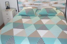 Le bélouga - Foto 8