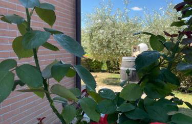 L'Olivo nel Chianti - Photo 16