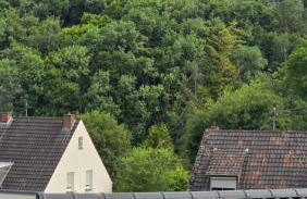 Geluk in Bettingen 1 - Foto 18