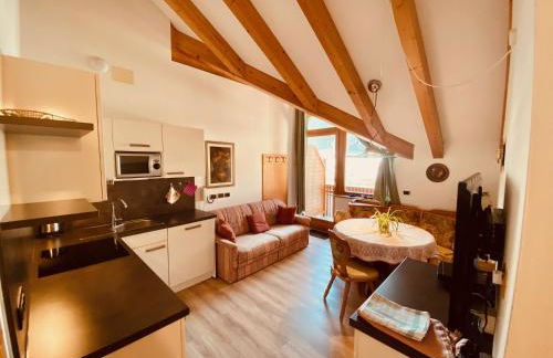 Apartments Residence Montana - Photo 60