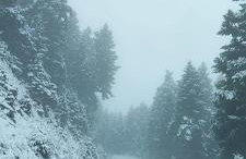 Tsigaridas Mountain Home - Foto 69