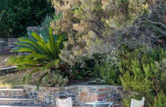 Skopelos luxurious villa "Aloupi" - Foto 37