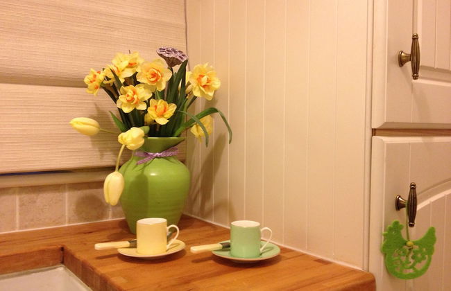 Snowdonia Snug - Foto 3