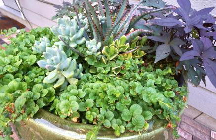 Gorgeous Guest Suite - Walk to Old Town and CSU! - Foto 66