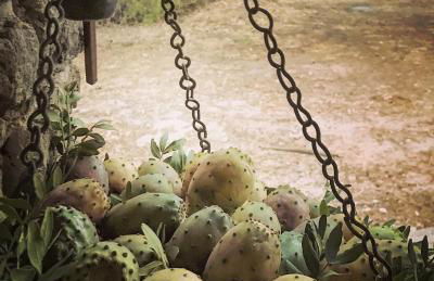 Lo Stazzo Multa Bianca Relax Assoluto nella Natura - Foto 31