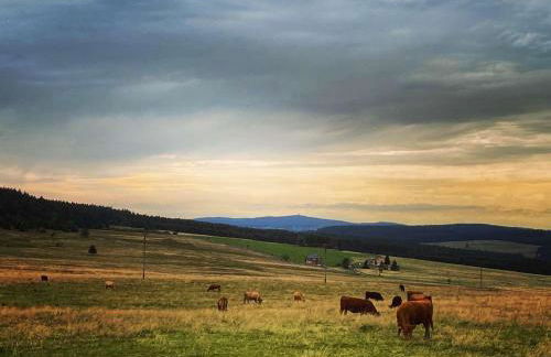 Alte Försterei Wildenthal am Kammweg Erzgebirge Ferienapartment 3 - Foto 17