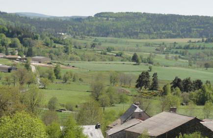 Gite les ducs - Foto 21